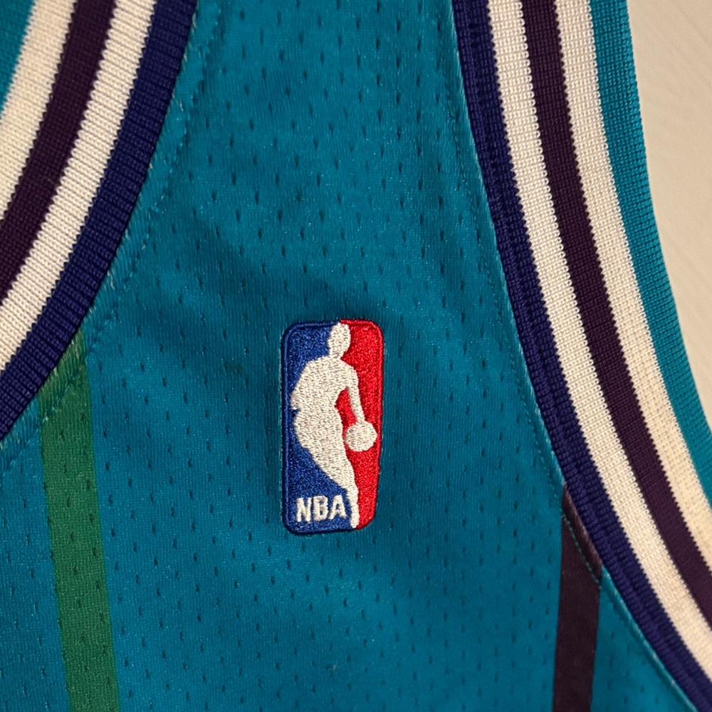 1992-93 Mitchell & Ness Charlotte Hornets Larry Johnson Hardwood Classics Jersey - Picture 7 of 10
